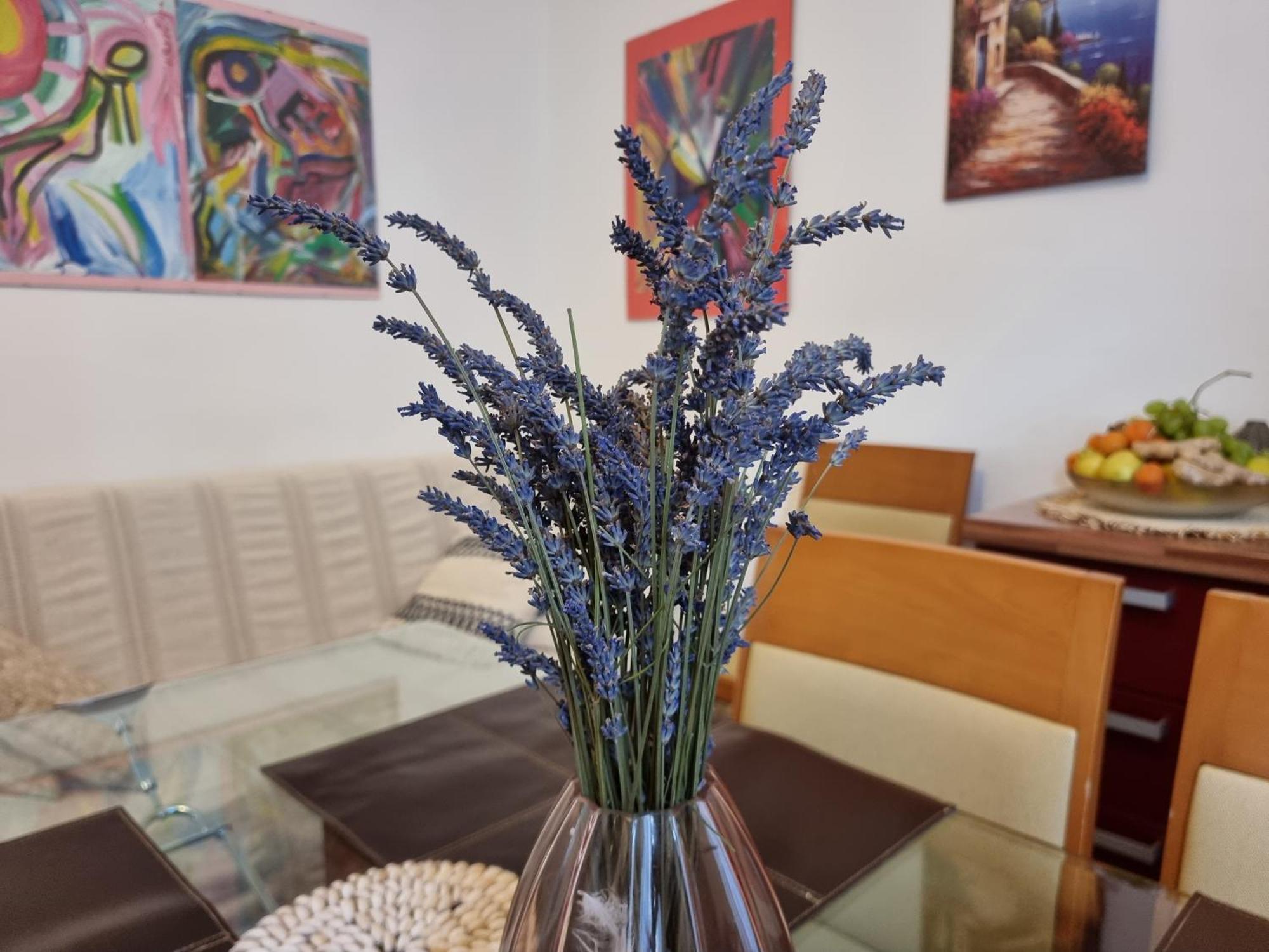 ***Apartment Magic &Summervibes*** Rijeka Zewnętrze zdjęcie
