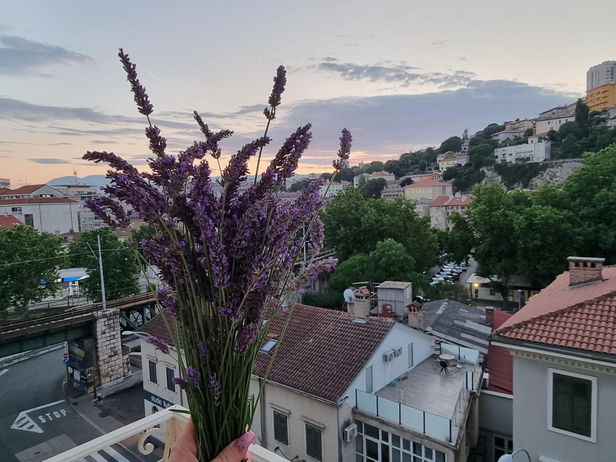 ***Apartment Magic &Summervibes*** Rijeka Zewnętrze zdjęcie