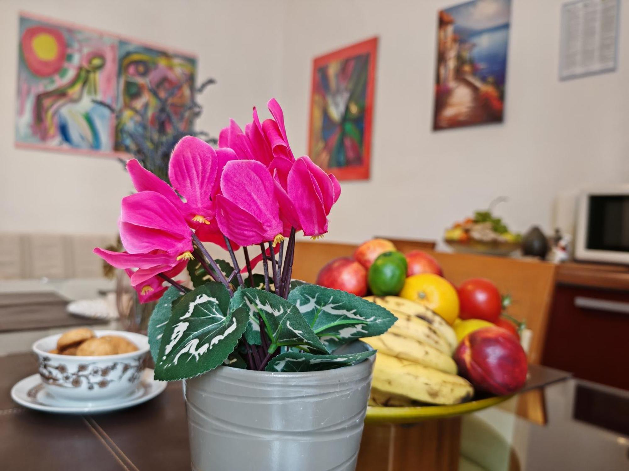 ***Apartment Magic &Summervibes*** Rijeka Zewnętrze zdjęcie