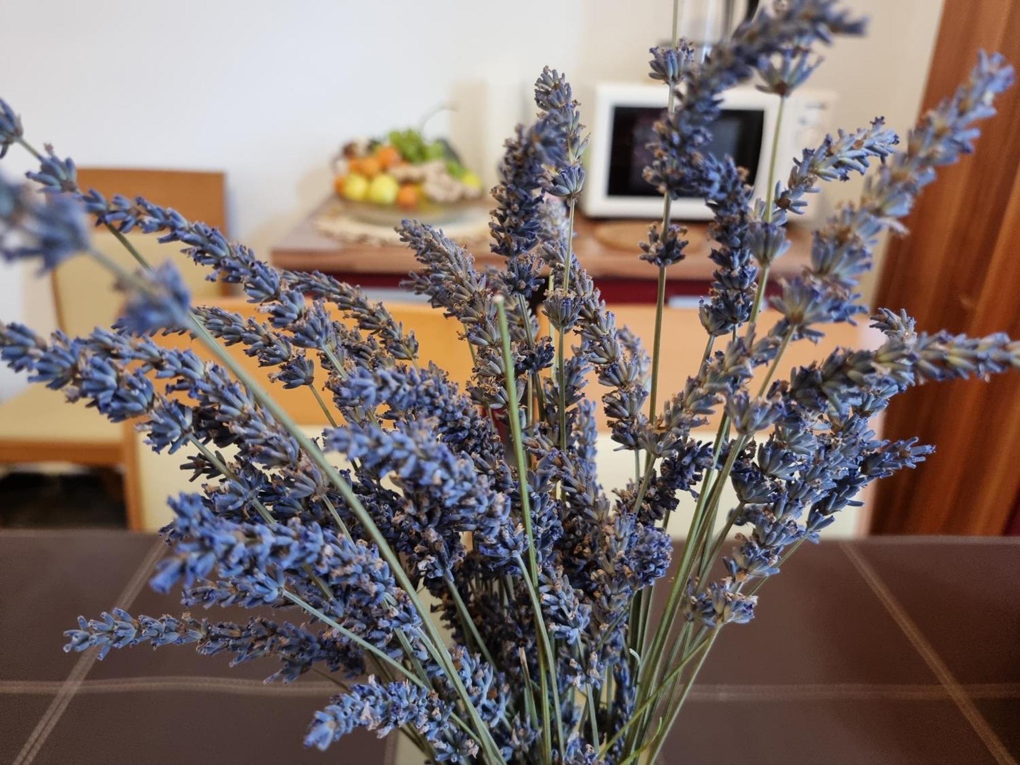 ***Apartment Magic &Summervibes*** Rijeka Zewnętrze zdjęcie